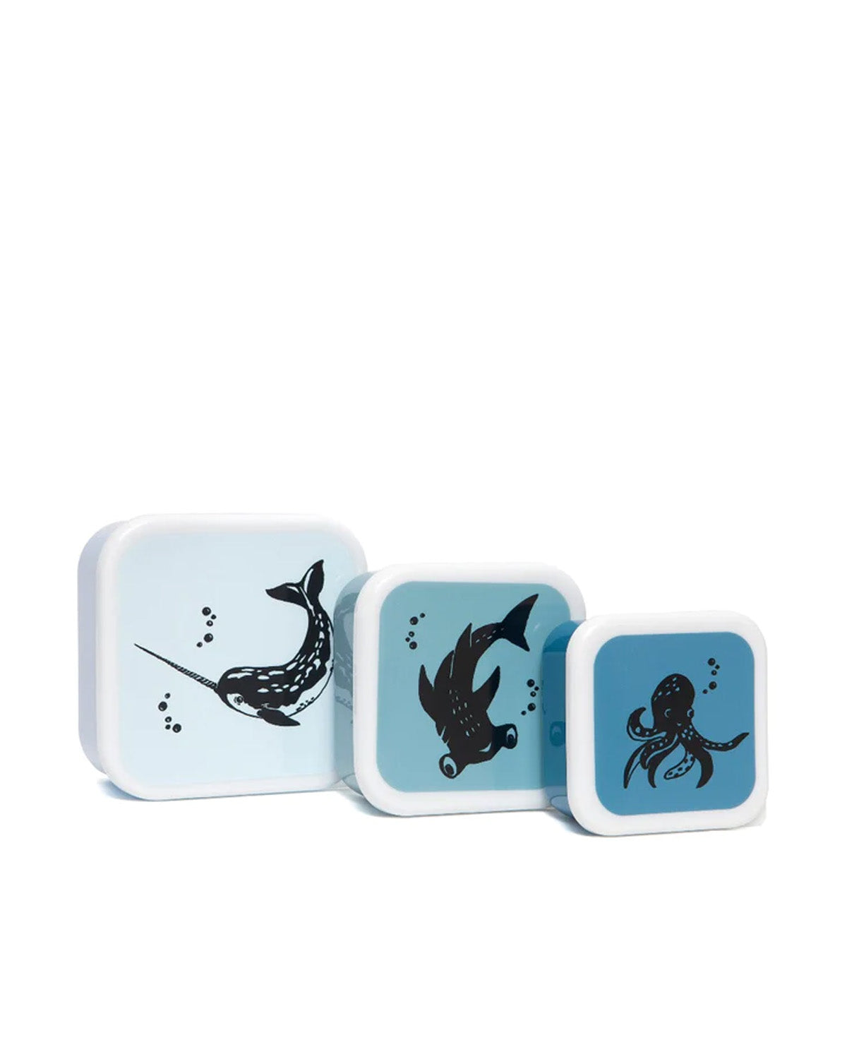 Petit Monkey Lunchbox Set Sea Animals